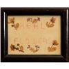 Image 2 : Framed Pressed Flower Botanical Wall Art