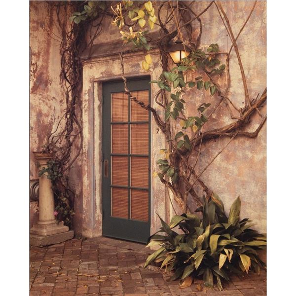 Framed, Door and Lamp Number 7, Fine Art Photograph