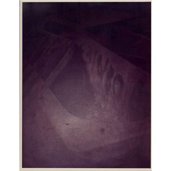 Gelatin Silver Print, Abandoned Scrap, Toned Print
