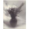 Image 1 : Gelatin Silver Print, Dreamy Vase