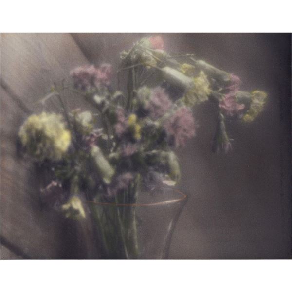 Gelatin Silver Print, Dying Bouquet, Colored