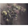 Image 1 : Gelatin Silver Print, Dying Bouquet, Colored