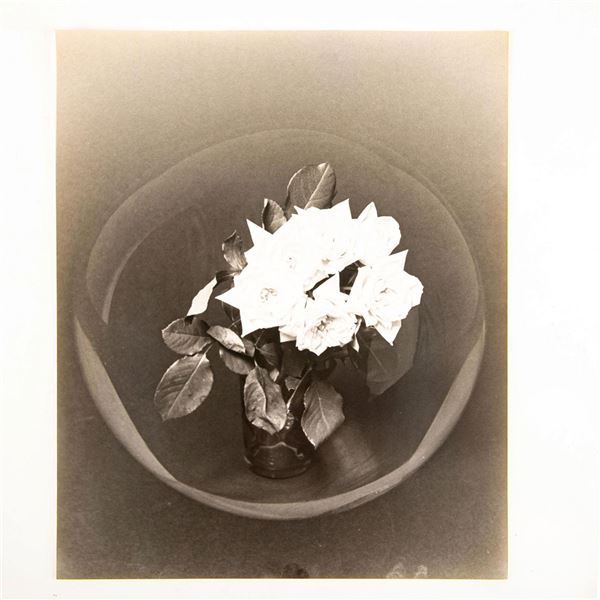 Gelatin Silver Print, Floral Arrangement