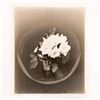 Image 1 : Gelatin Silver Print, Floral Arrangement Large