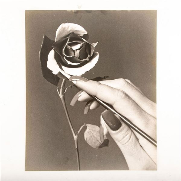 Gelatin Silver Print, Flower Painting Large