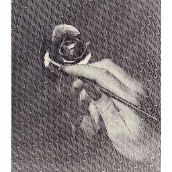 Gelatin Silver Print, Flower Painting with Lace Overlay