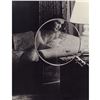 Image 1 : Gelatin Silver Print, Home Scene, Double Exposure, 2 Prints