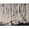 Image 1 : Gelatin Silver Print, Inverse Forest, Negative Print