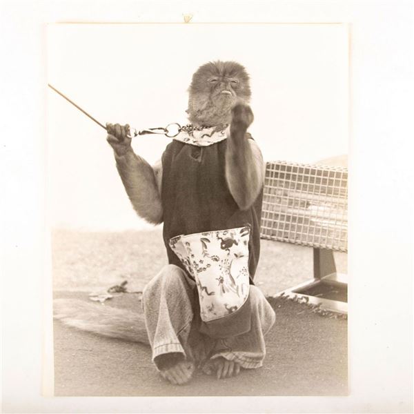 Gelatin Silver Print, Performing Monkey