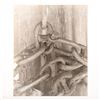 Image 1 : Gelatin Silver Print, Wrapped Chains