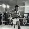 Image 6 : Framed Hulton Getty Giclee Print, Float Like A Butterfly