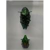 Image 3 : Lot of 2 - Mounted Insects and butterflies in acrylic cases