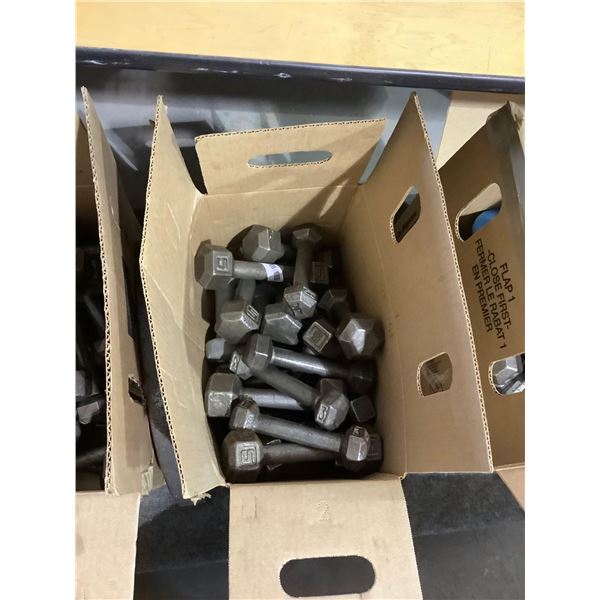 Box of Assorted Dumbbells