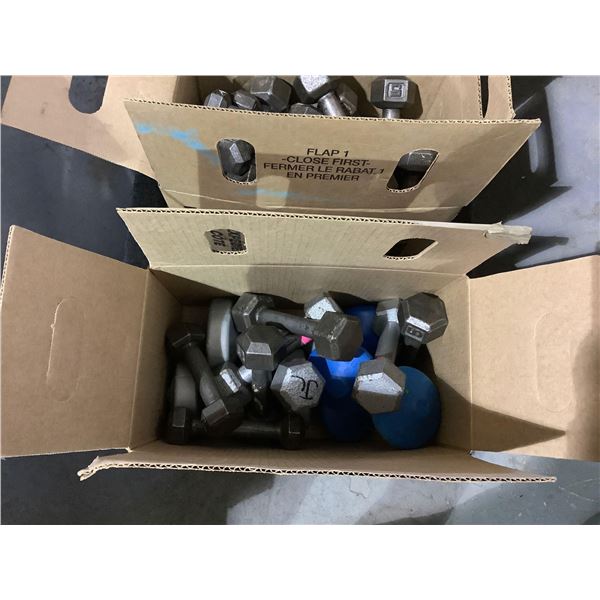 Box of Assorted Dumbbells