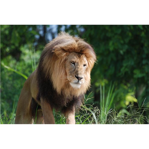 Items continually being added