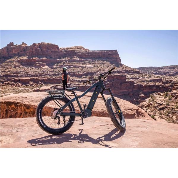 Apex 1000 All Terrain All Electric Mountain Bike