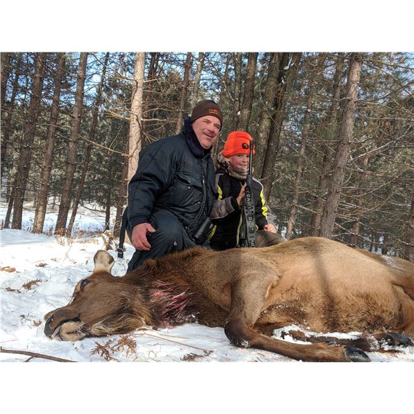 Cow Elk Hunt