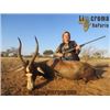 Image 5 : 10-day South Africa Plains Game safari for 2 hunters