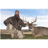 Image 1 : OH Whitetail Deer Hunt for 2 hunters, 3 days/4 nights