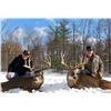 Image 2 : OH Whitetail Deer Hunt for 2 hunters, 3 days/4 nights