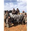 Image 1 : SandHill Crane for 2 hunters in TX, for 3 days/3 nights