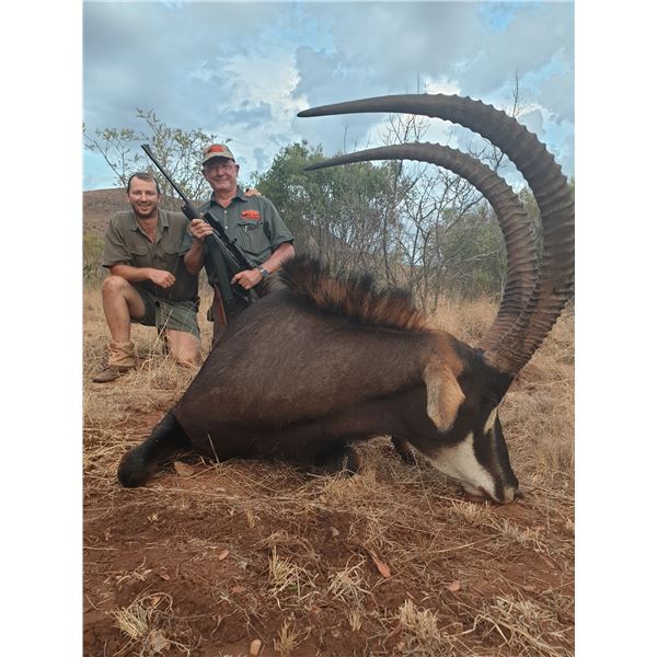 Sable Hunt for 1 hunter, 6-days/7-nights