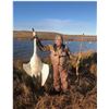 Image 4 : N. Dakota Duck & Goose Hunt for 2, 4-days/4-nights