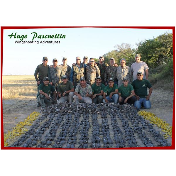 4-Day High Volume Dove Hunt for 4 Hunters