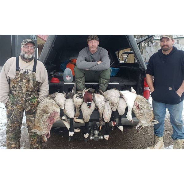 Kansas Goose and Predator combo hunt for 2 hunters, 3-nights/2-days