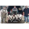Image 1 : Kansas Goose and Predator combo hunt for 2 hunters, 3-nights/2-days