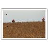 Image 6 : 3-days/3-nights Pheasant hunting & Duck hunting in South Dakota for 4 hunters
