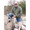 Image 4 : 5-Day Mexico Carmen Mountain Deer or MX Texanus Deer Hunt for 1