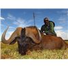 Image 4 : 7-Days hunting for 2 Hunters and 2 Non-Hunters; 4 animals, South Africa