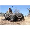 Image 1 : Cape Buffalo and Sable Antelope Hunt for 2 Hunters and 2 non-hunters; 10-Days Hunting