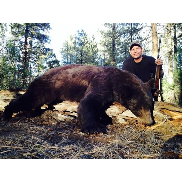 New Mexico Bear Hunt with Dogs