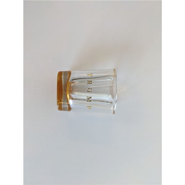 Donald Trump Shot Glass