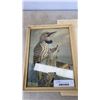 Image 2 : Framed wood pecker and ruffed grouse