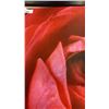 Image 2 : LARGE ROSE PRINT ON CANVAS