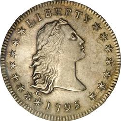 1795 $1 Flowing Hair AU53 Details ANACS