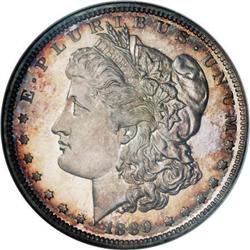 1889 $1 PR66 Cameo NGC