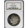 Image 3 : 1889 $1 PR66 Cameo NGC