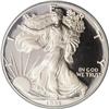 Image 1 : 1995-W $1 Silver Eagle PR65 Deep Cameo ANACS