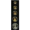 Image 1 : American Eagle 10th Anniversary Five-Coin Set