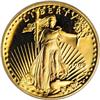 Image 1 : 1999-W G$5 Tenth-Ounce Gold Eagle PR70 Deep