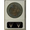 Image 2 : 1883 $1 Hawaii Dollar--Artificial Toning--ANACS.
