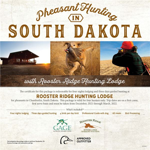 South Dakota Pheasant hunting for 4- Rooster Ridge