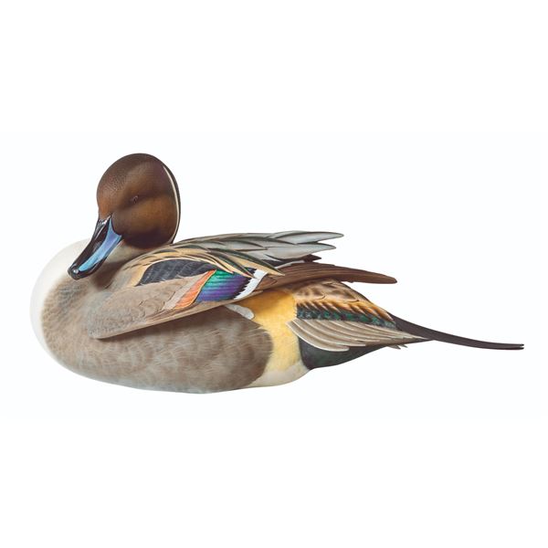 Pintail Drake Decoy of the Year