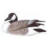 Image 1 : Canada Goose Decoy