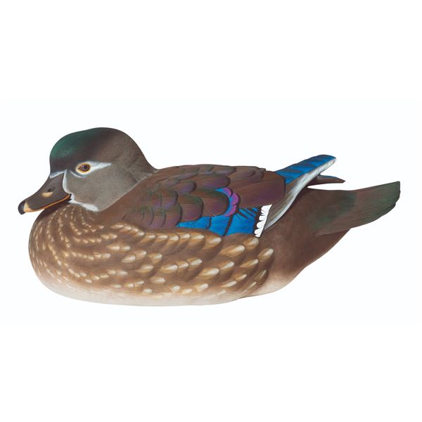 Wood Duck Hen Decoy