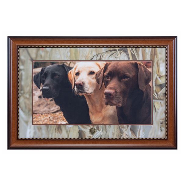 Lab Photo with Wetlands Mat